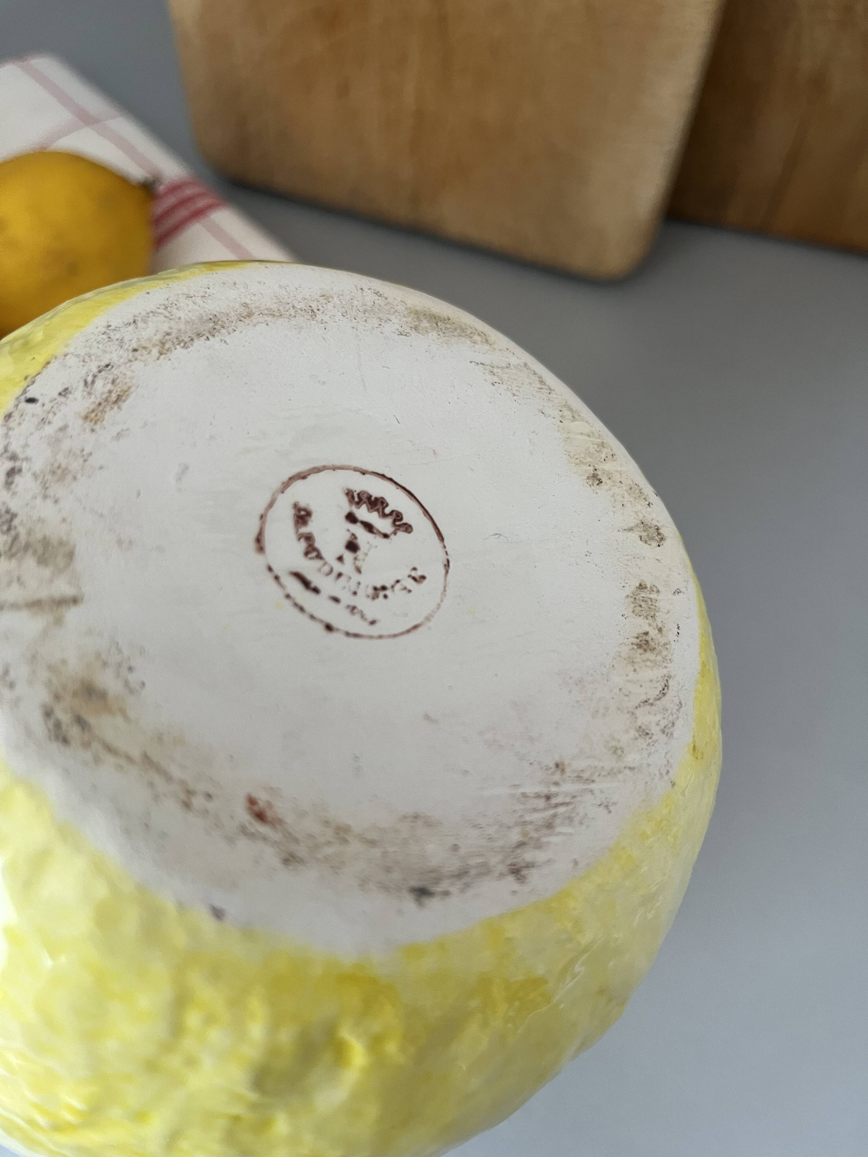 Pitcher lemon slurry Bassano