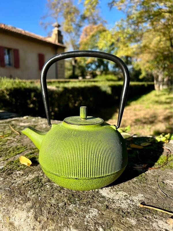 Green cast iron teapot