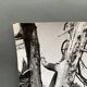 Silver gelatin photograph by Bernard Darot, Dead Tree, 20th century