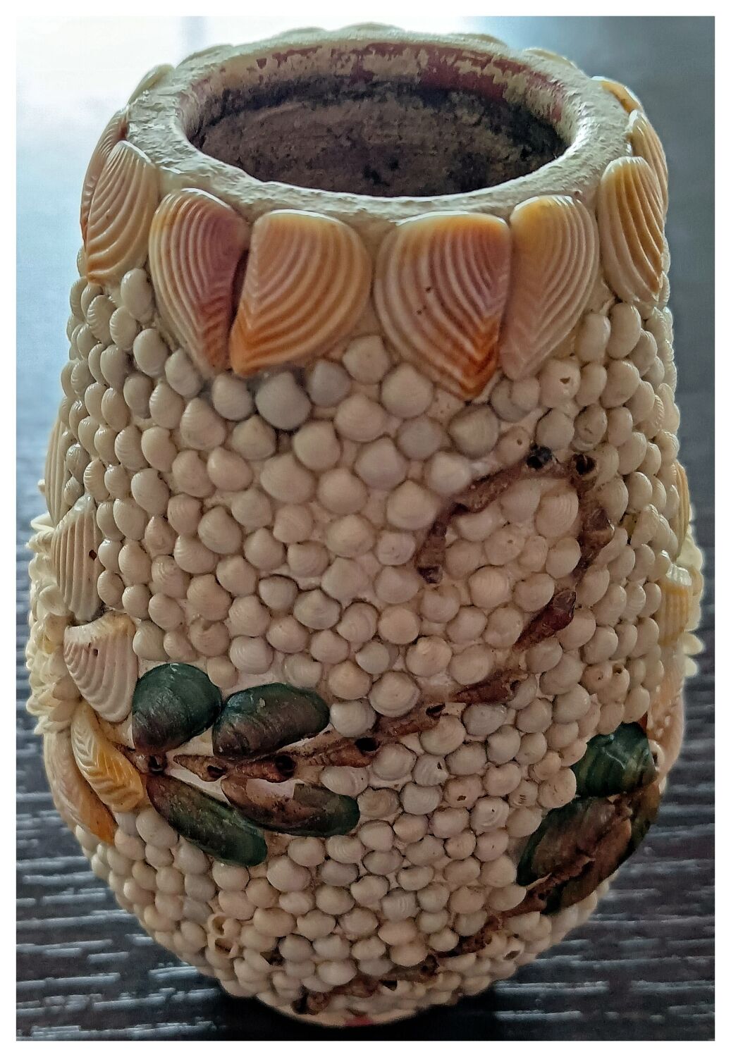 Shell vase