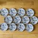 Paradiso 12 dinner plates Villeroy Boch