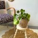 Tabouret tripode vintage