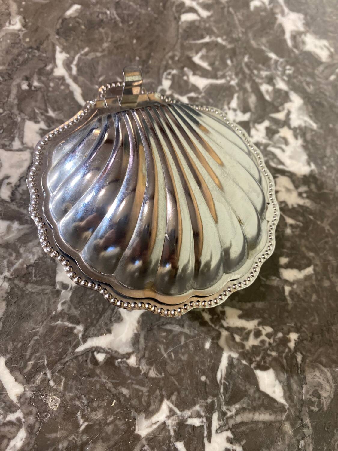 Beurrier coquillage