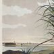 Poster about the Long-billed Curlew, based on an old engraving from 1827.
