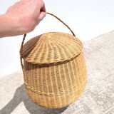 Rattan braided basket basket