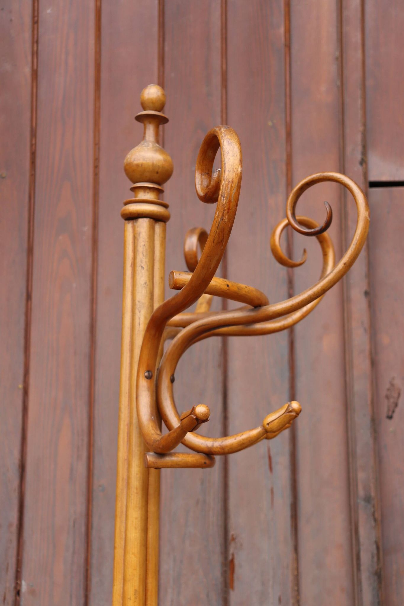 Portemanteau perroquet mural en demi style Thonet, 1900