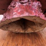 Brutalist coffee table magnifying elm