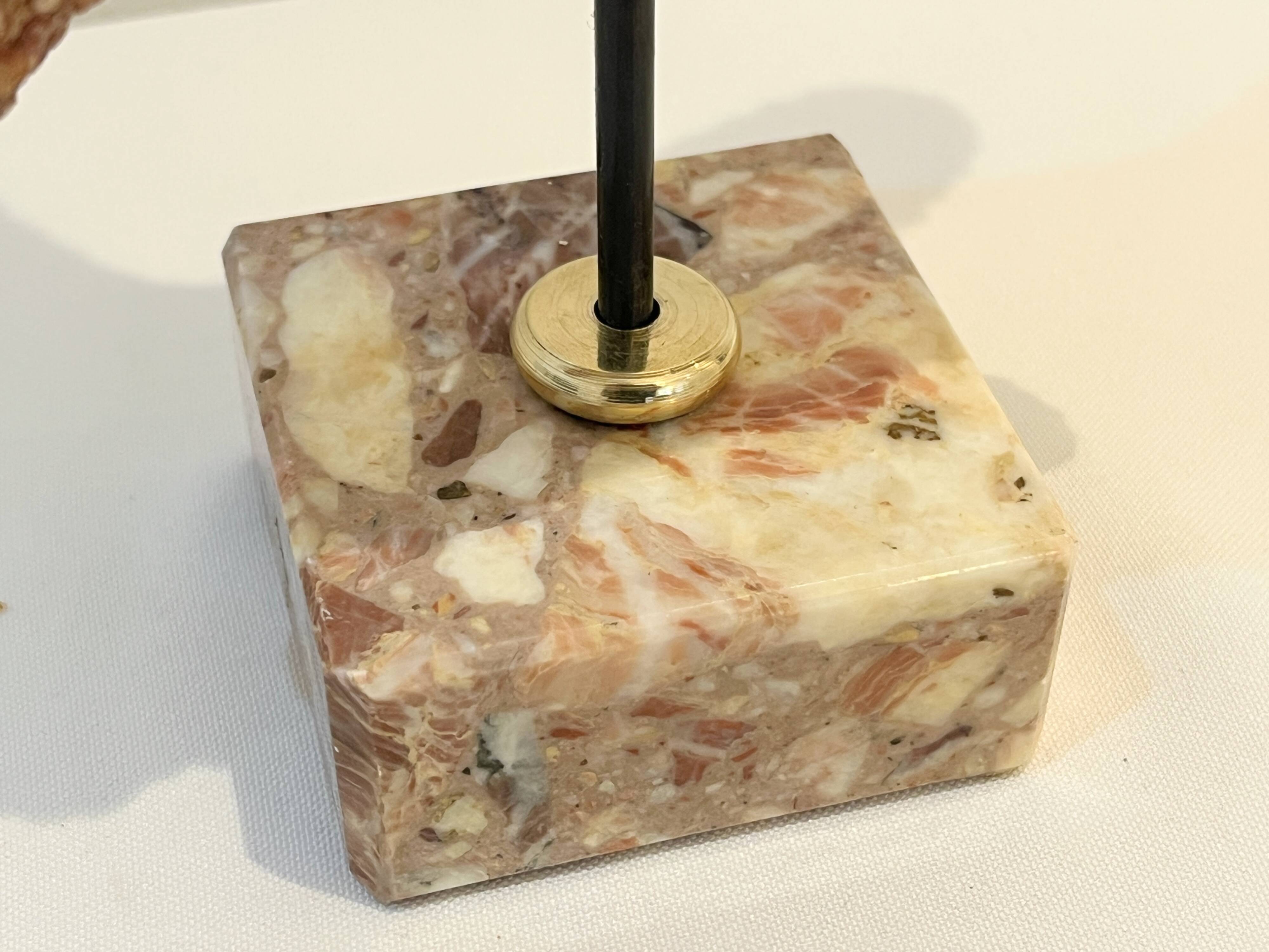 XXL Vintage Natural Starfish on Marble Base Cabinet of Curiosities