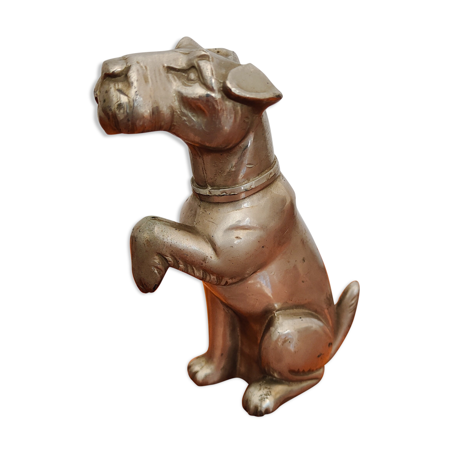 Chien