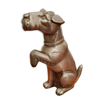 Chien