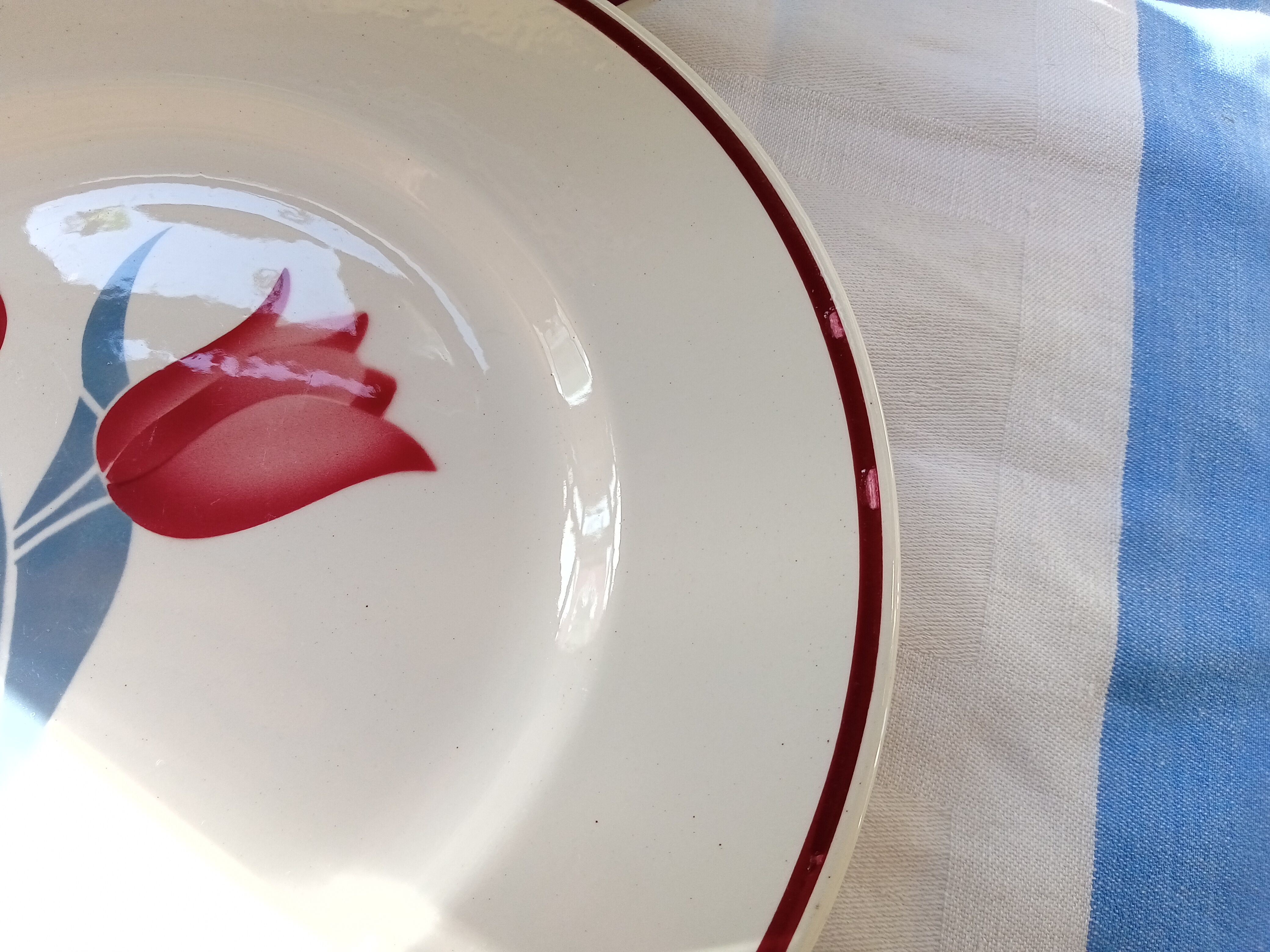 6 Terre de Fer flat plates