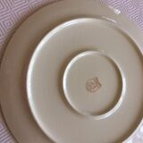 Pie dish