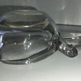 Empty pocket apple crystal.