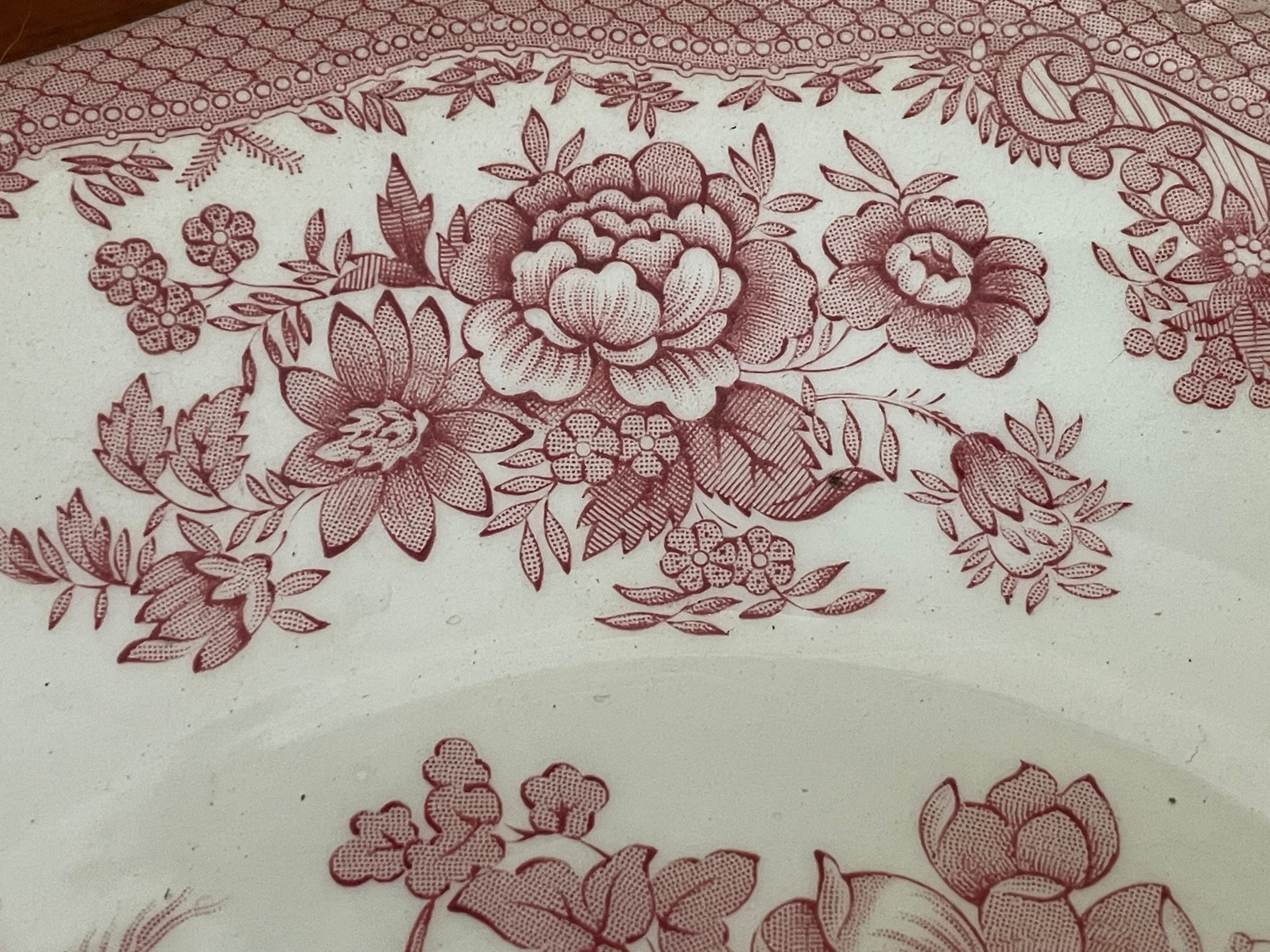 Lot de 8 assiettes faïence Wedgwood modèle faisan asiatique rose
