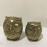 Brass owl duo
