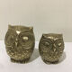 Brass owl duo