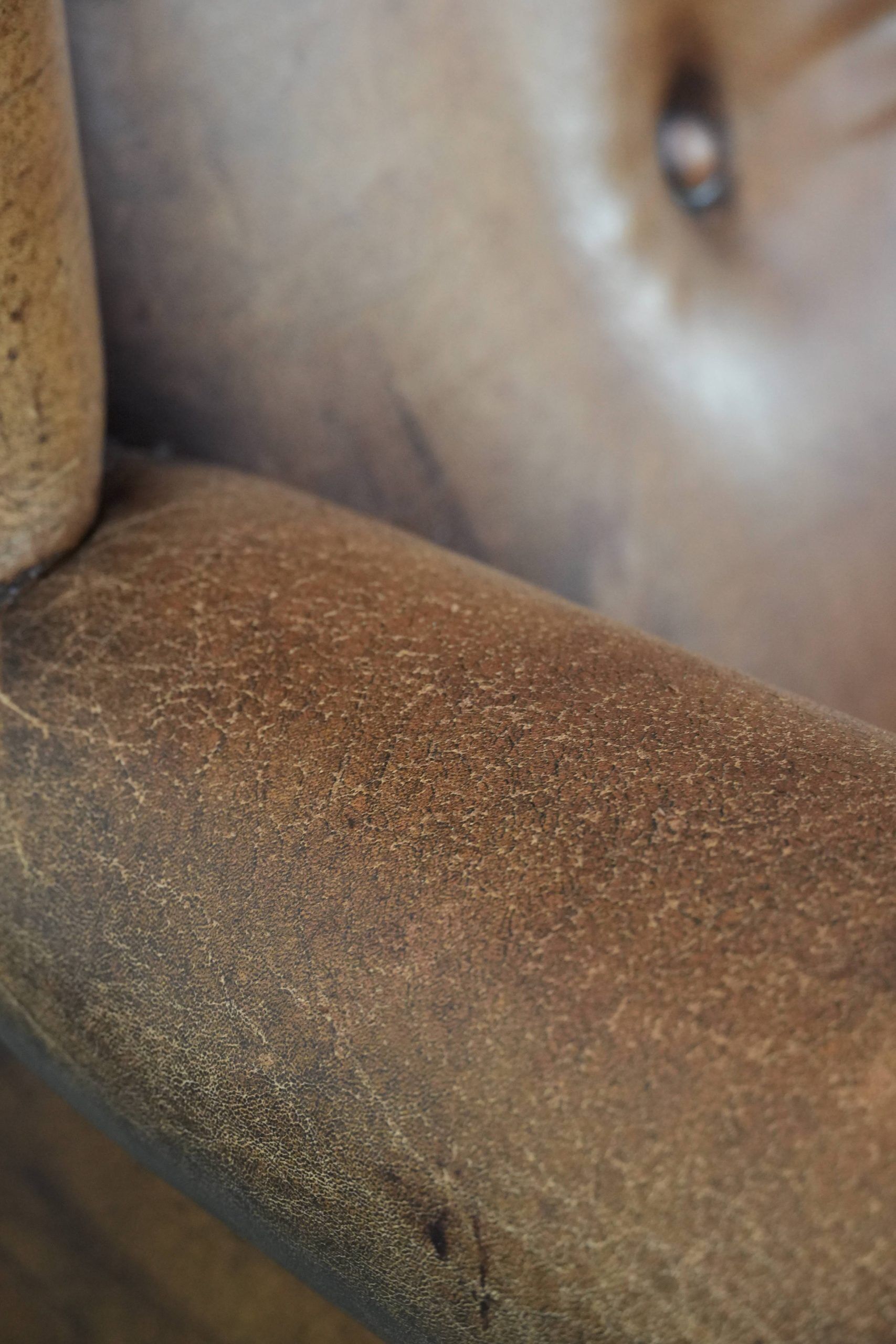 Large and comfortable sheepskin leather wingback chair with black piping