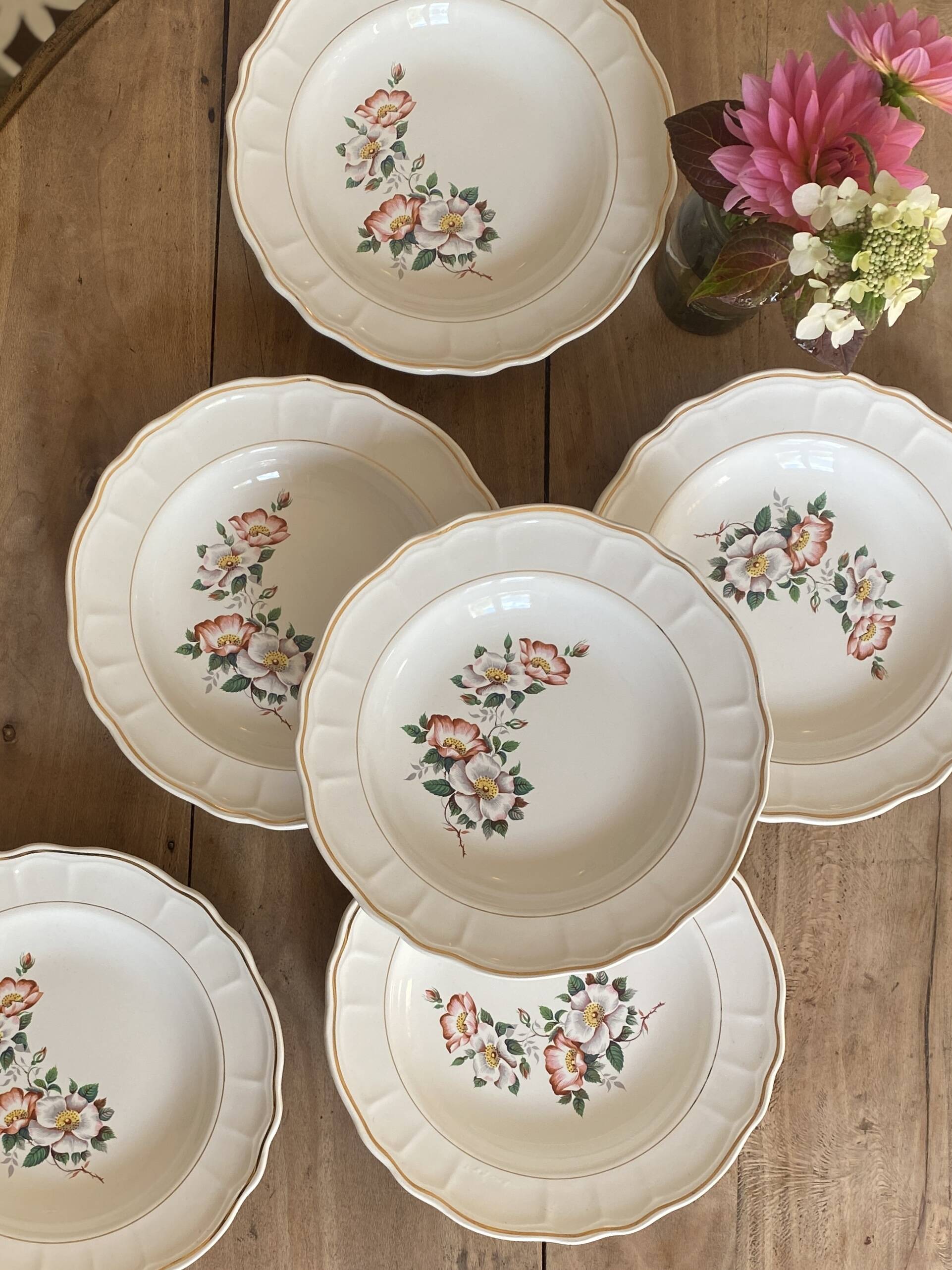 Set of 6 vintage Salins soup plates