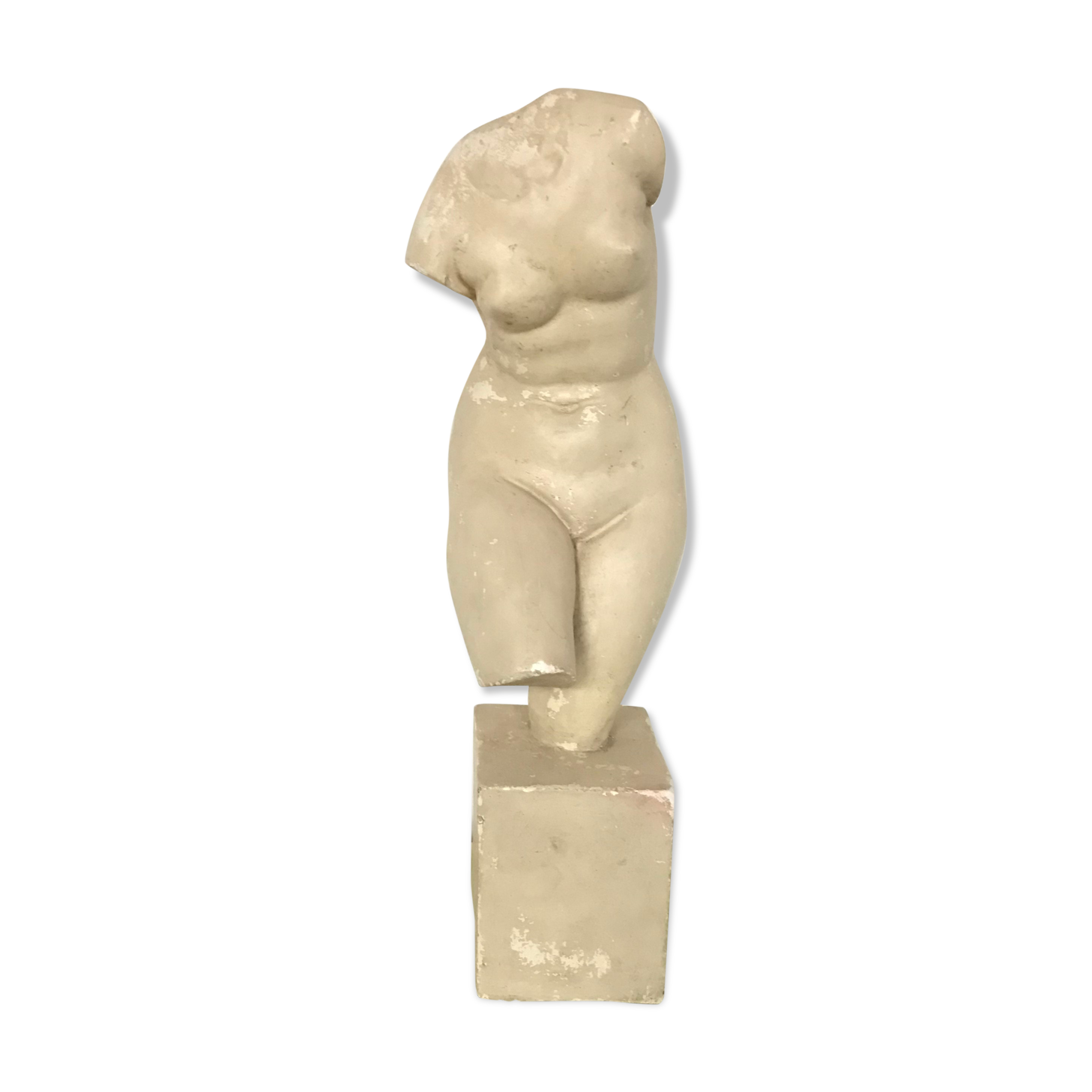 Bust of Aphrodite in plaster