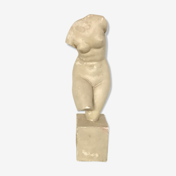 Bust of Aphrodite in plaster