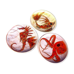 assiettes Monique Brunner