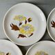 Set of 5 plates Sovirel France 70s