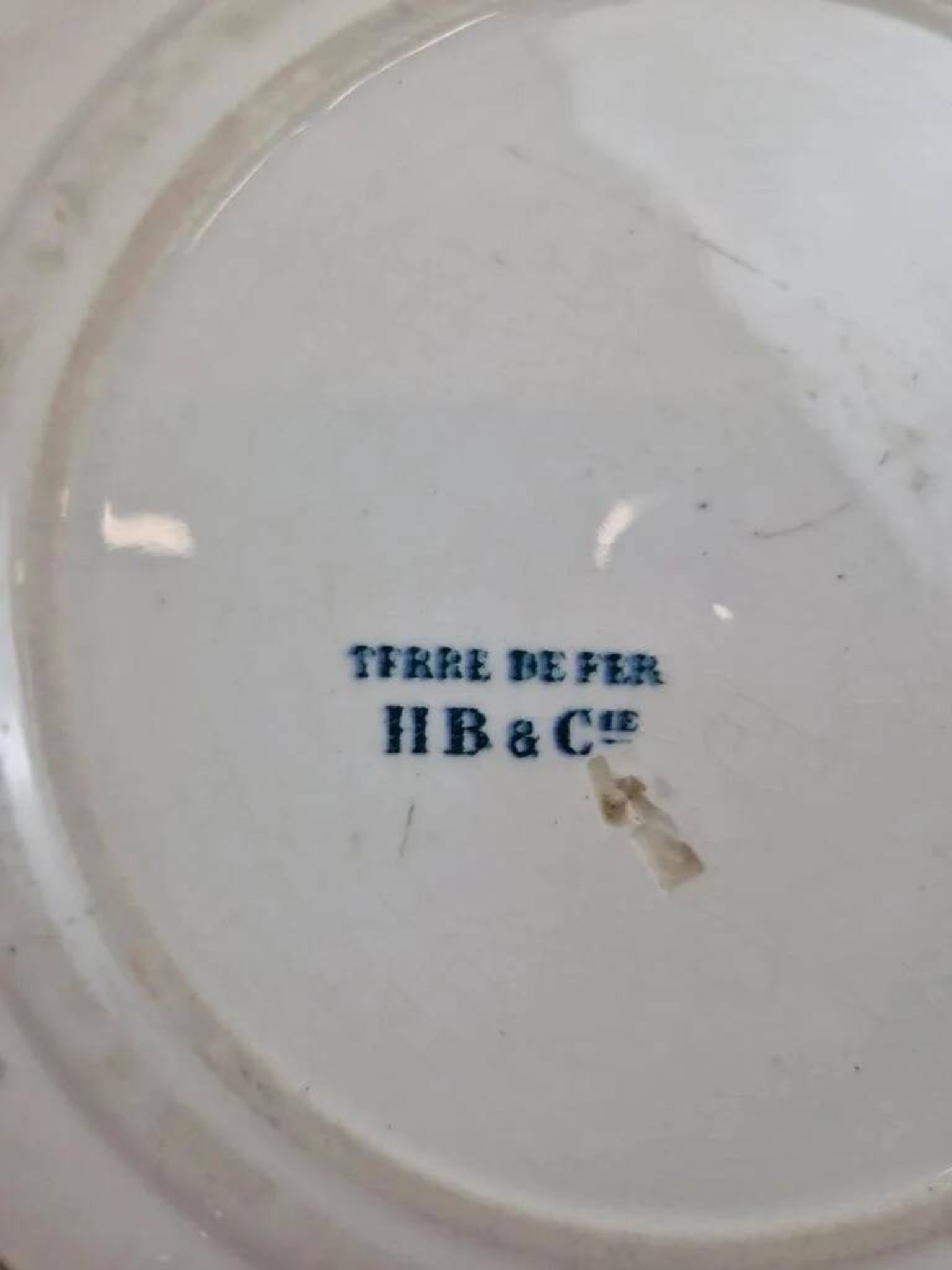 Plate Terre de Fer HB & Cie Choisy-le-Roi – Bird & fruits – 19th century