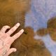 Elm burl coffee table and brass 70s Roche Bobois