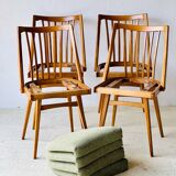 Chaises de salle à manger par Antonin Šuman pour TON, 1960'