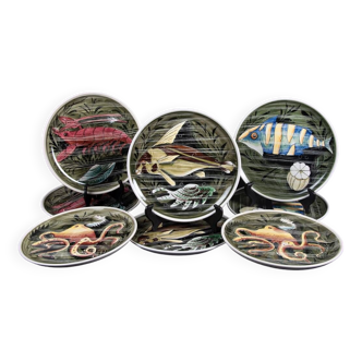 Fish and shellfish plates ceramic Italy vintage 1970 x8