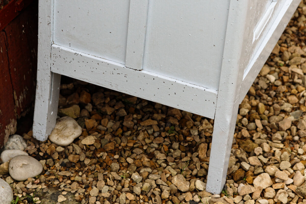 Blue Parisian buffet