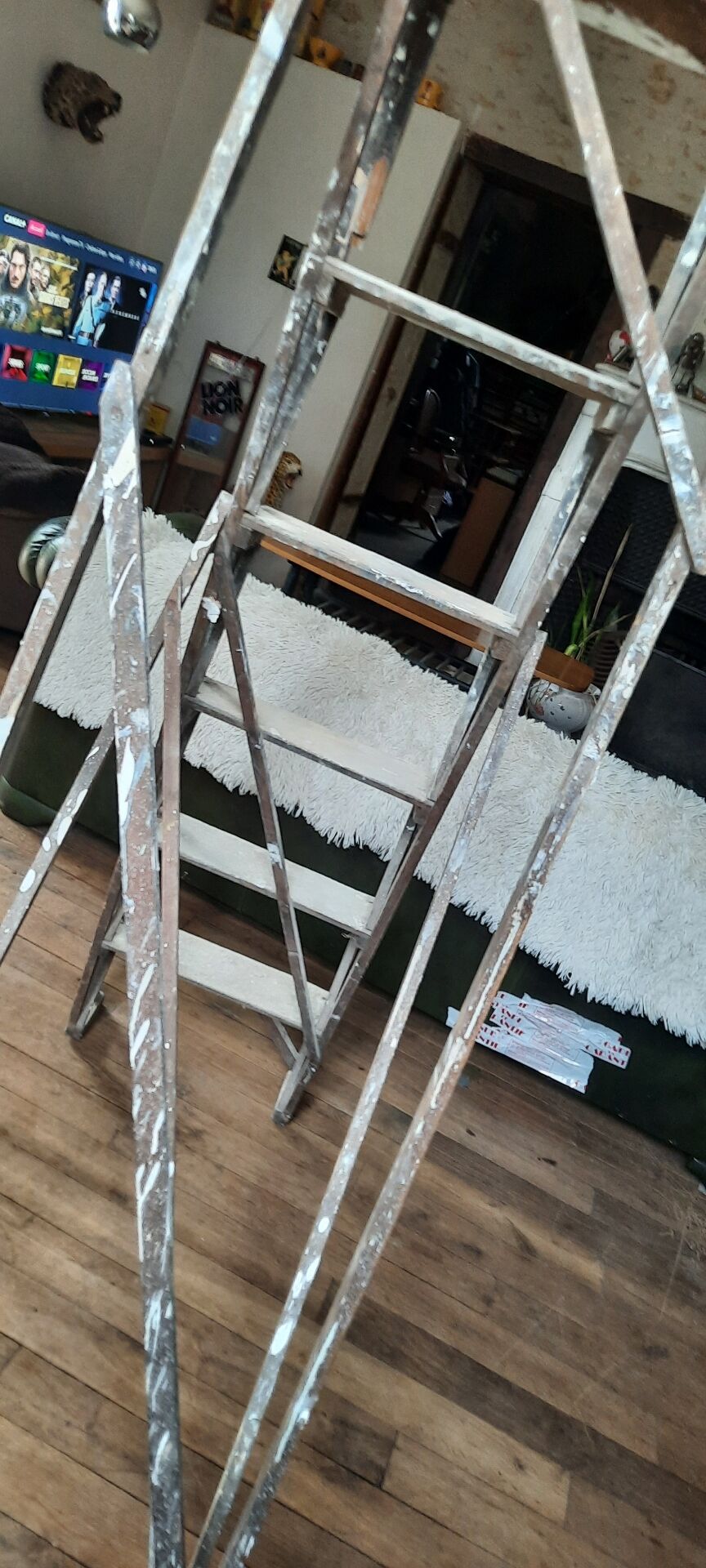 Painter's step ladder