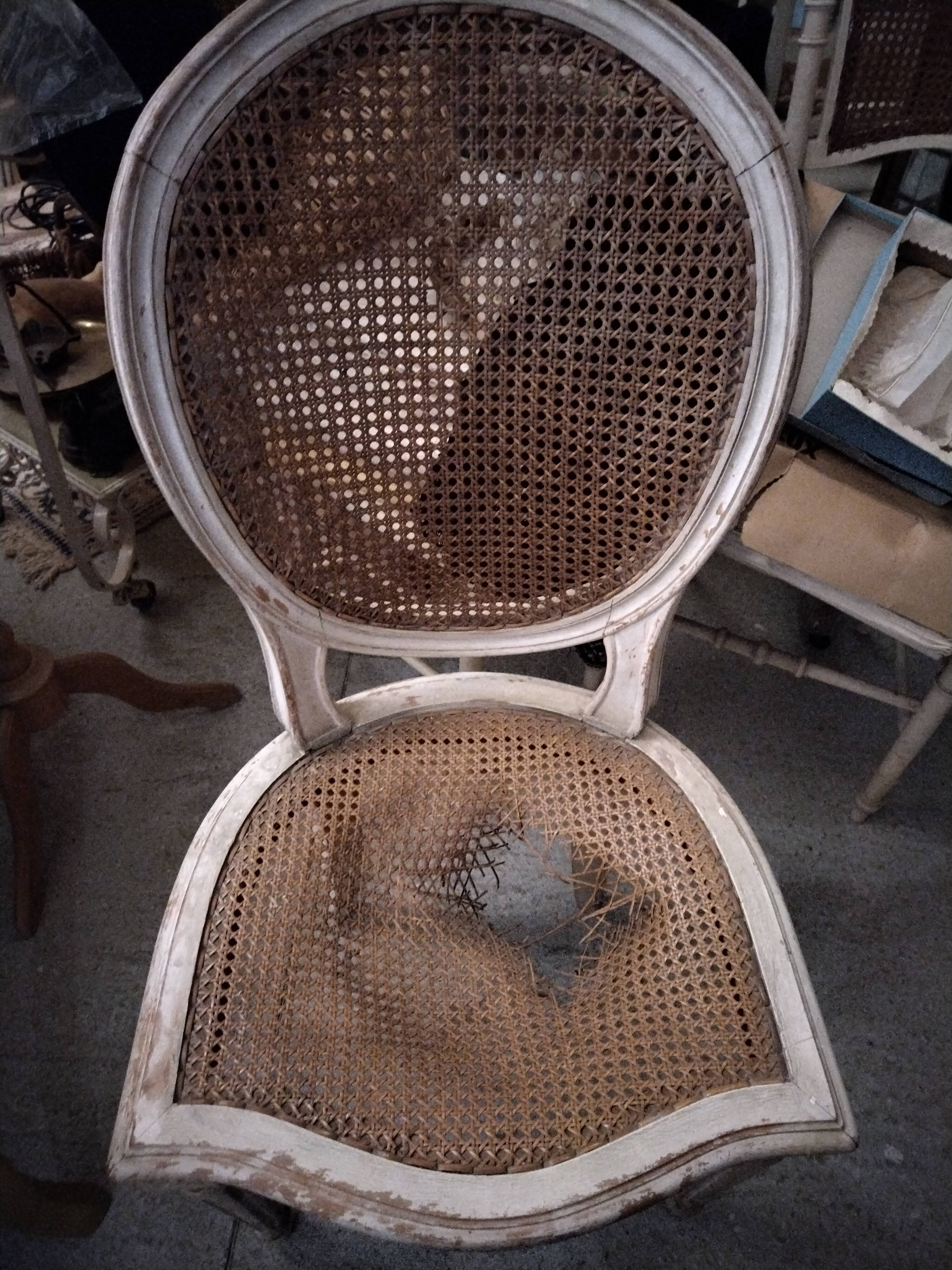 Lot Louis XV medallion chairs canned