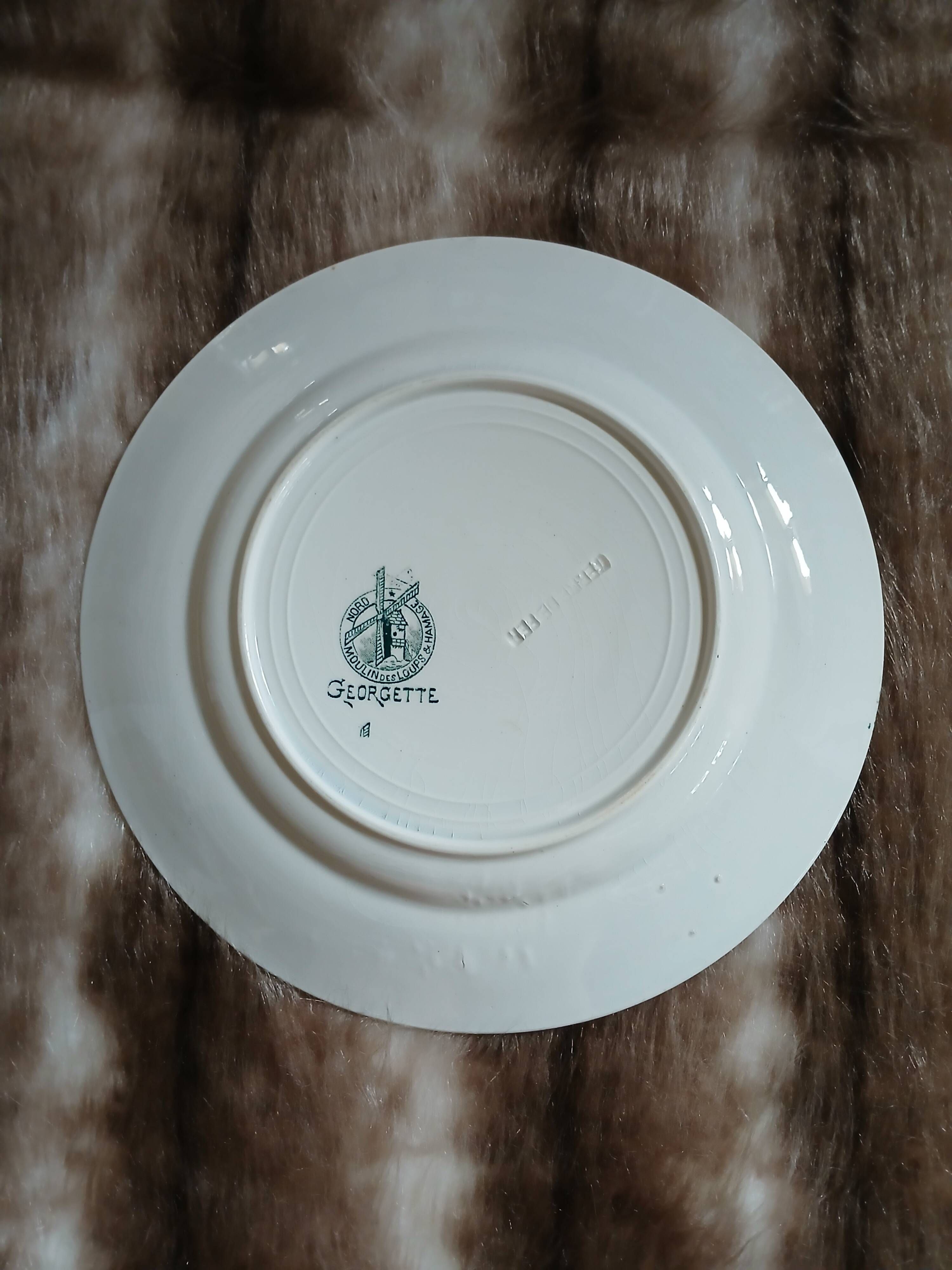10 antique flat plates in ironstone