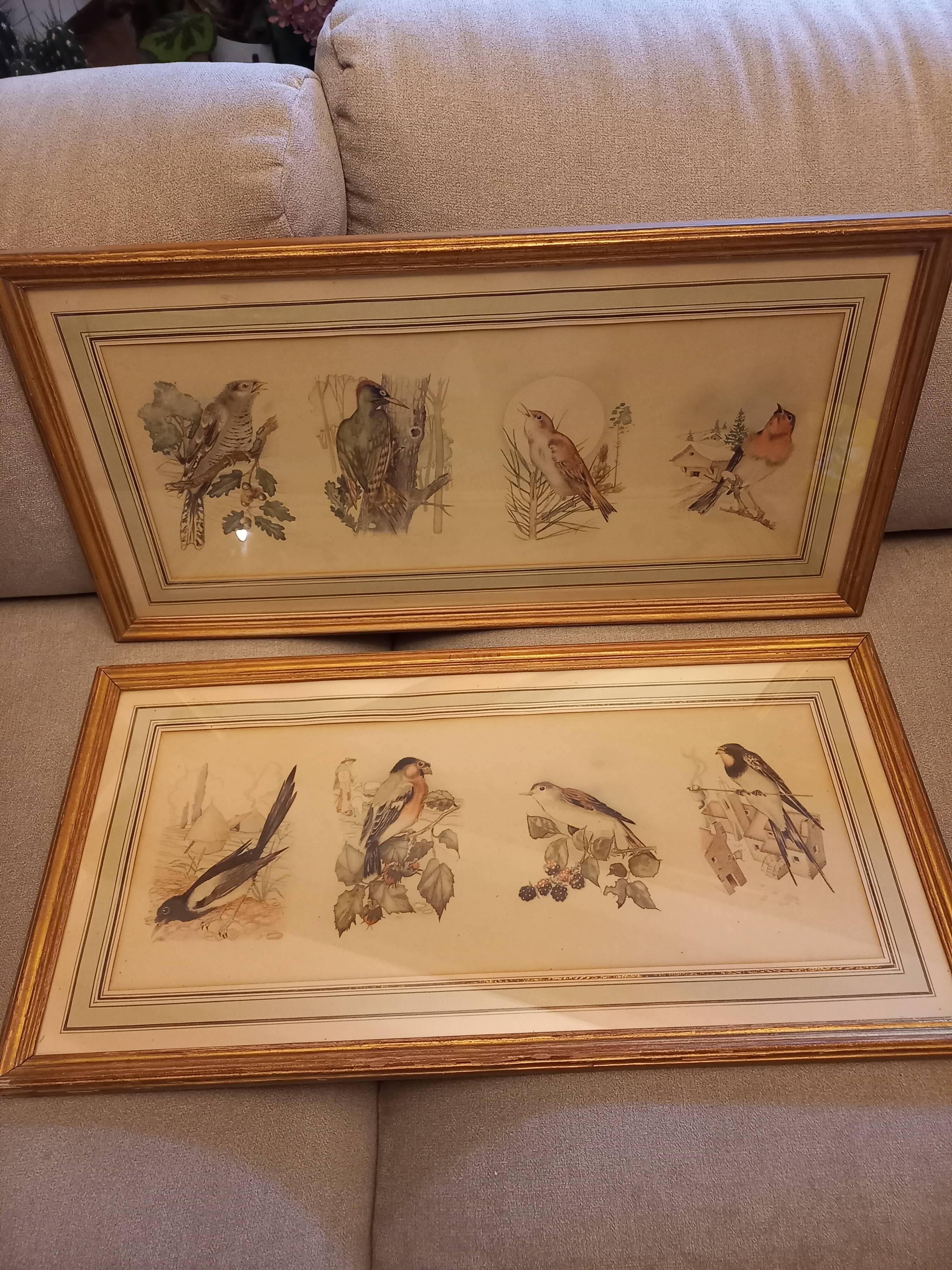 Lot 2 watercolors ancient birds