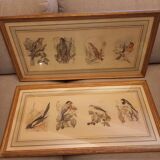 Lot 2 aquarelles oiseaux anciennes