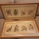 Lot 2 watercolors ancient birds