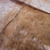 Vintage cowhide carpet 1970 2m20x1m90