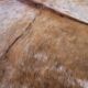 Vintage cowhide carpet 1970 2m20x1m90