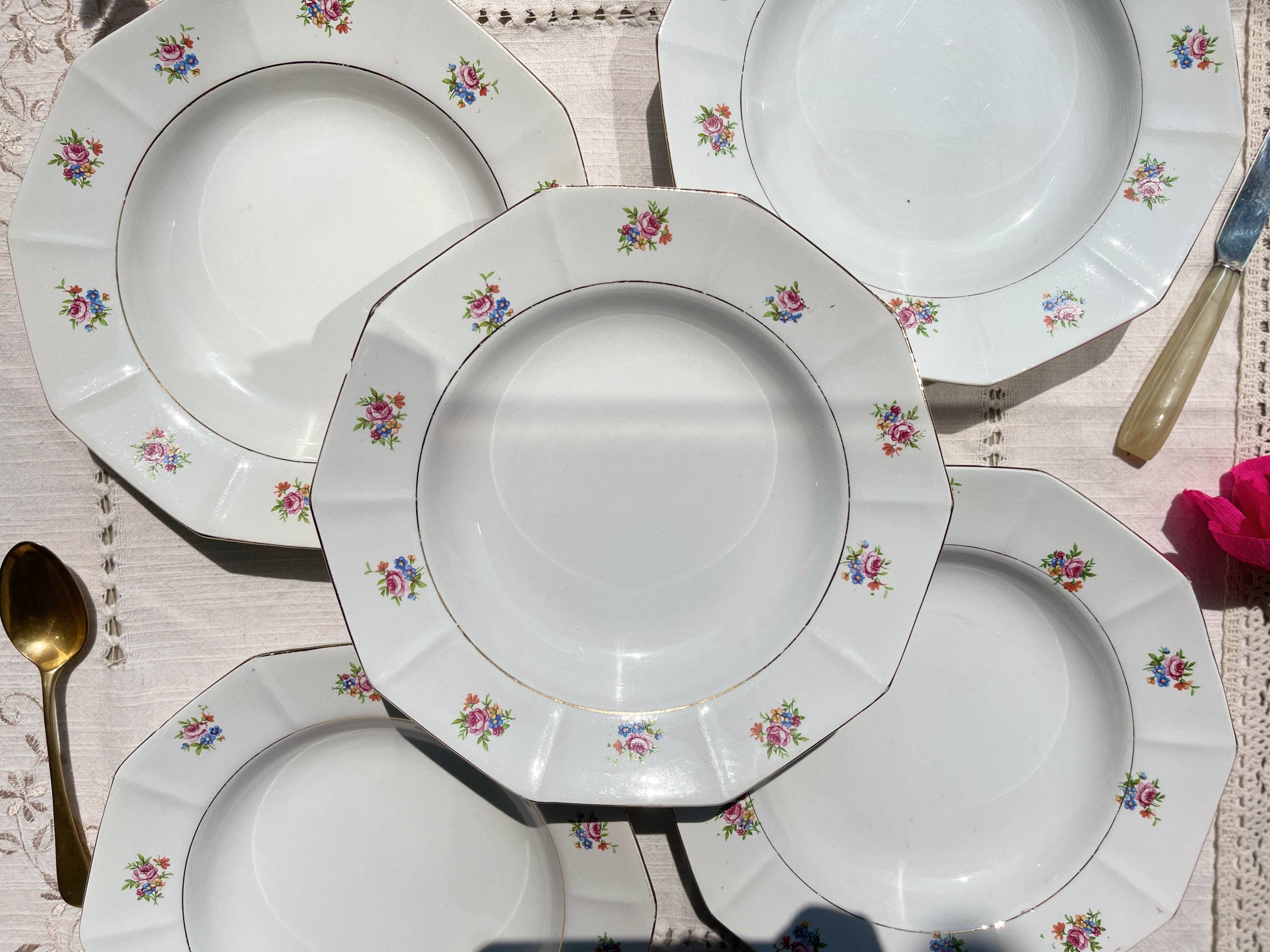 5 vintage hollow plates in opaque porcelain SALINS floral pattern