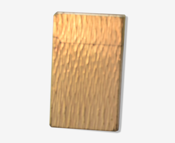 Briquet myon