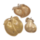 Lot de 3 coupelles en laiton