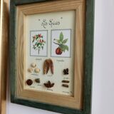 Vintage frame "The spices"