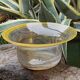 Glass cup blown Guillaume Domise Halle du Verre