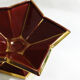 Starry cut dish