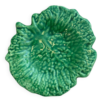 Cabbage slip plate