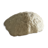 White coral 25 cm