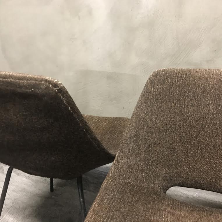 Set of 6 chairs "Tonneau" Pierre Guariche, Steiner Editions
