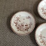 Series of 9 plates Iron Earth