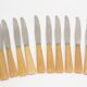 Box of 12 Apollonox knives